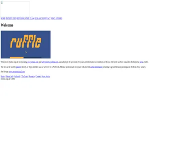 eyedoc.org.uk in 2006