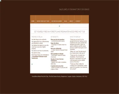 forestflame.co.uk in 2011