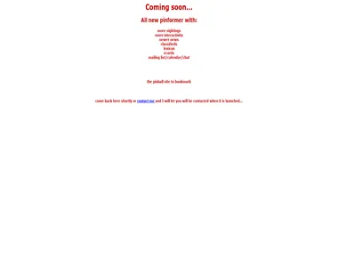 pinformer.co.uk in 2001
