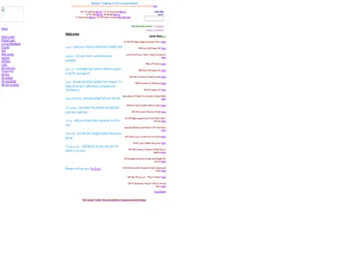 pinformer.co.uk in 2002