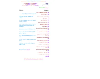pinformer.co.uk in 2003