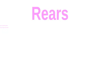rears.co.uk in 2003