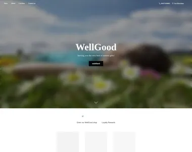 wellgoodsuperfoods.co.uk in 2019